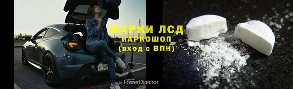 прущие грибы Балабаново