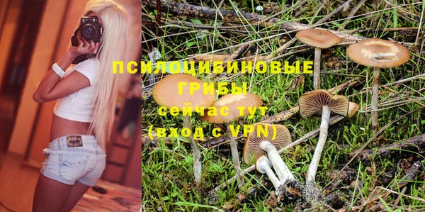 трава Приозерск