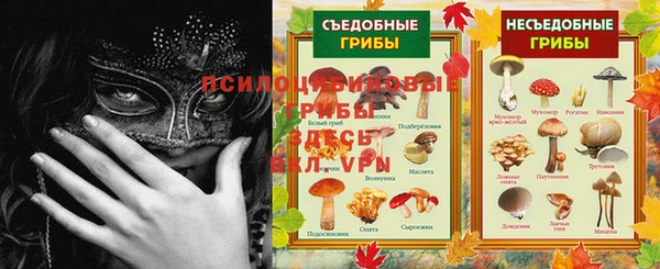 эйфоретик Балахна